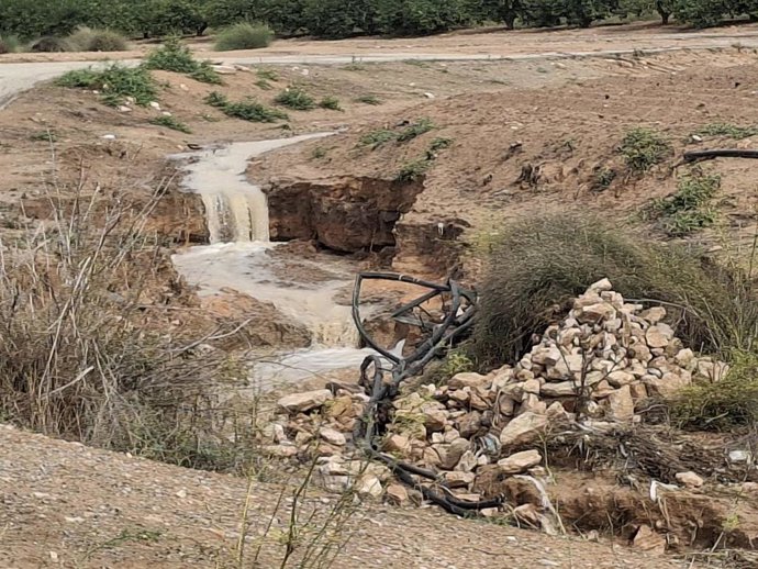 El sistema generó avisos por riesgo de desbordamiento en dos puntos de la rambla de El Albujón