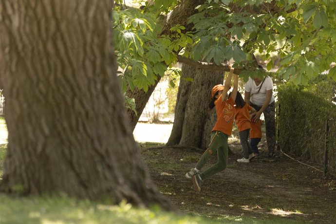 Archivo - Una familia en el parque de El Retiro, a 4 de julio de 2023, en Madrid (España). El gobierno de la Comunidad de Madrid anunció el pasado 21 de junio que va a poner en marcha un Plan de Apoyo a las Familias que incluye nuevas ayudas para las fami