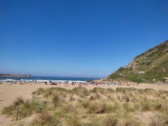 Archivo - Vegetación a la entrada de la playa de Orio (Gipuzkoa)