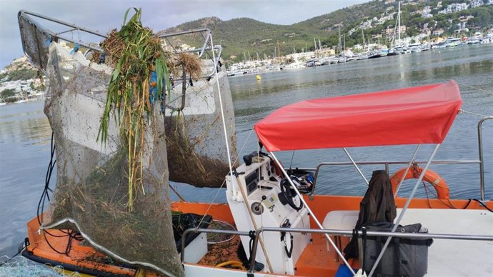 Retiran casi ocho toneladas de residuos del litoral balear durante el mes de septiembre