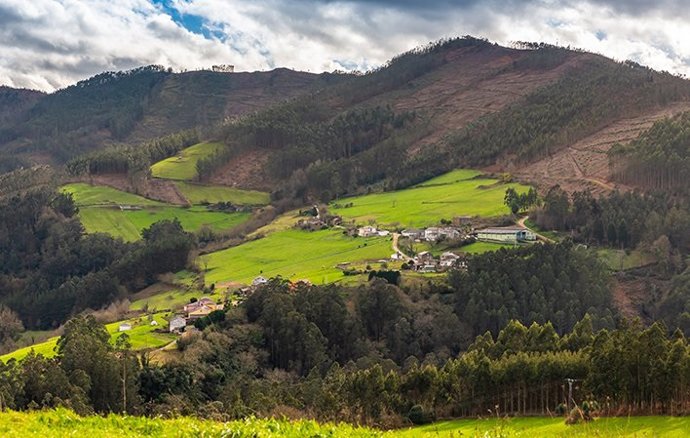 Archivo - San Tirso de Abres