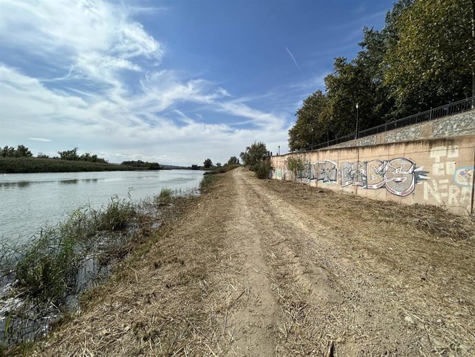 Comienzo de las obras de poda y desbroce de la ribera del río Tajo en Talavera de la Reina.