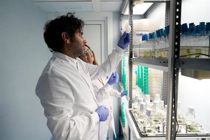 Equipamiento científico situado en el Área Científica y Técnica de Investigación (ACTI)