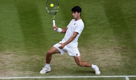 Tenis