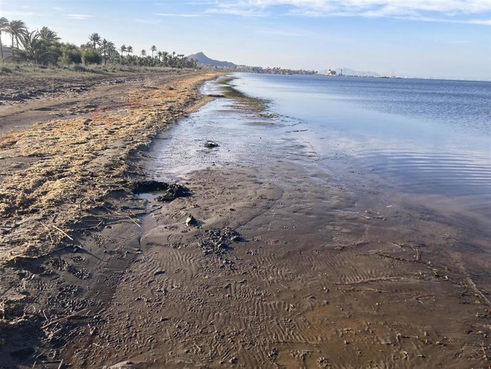 La zona del Mar Menor estudiada.