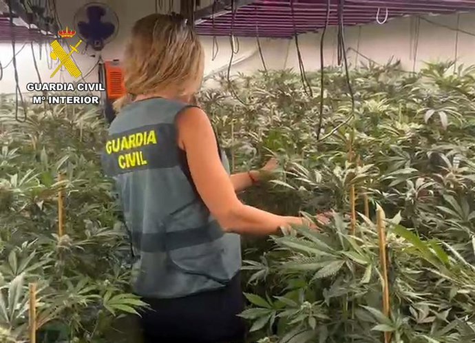 Vídeo de la noticia