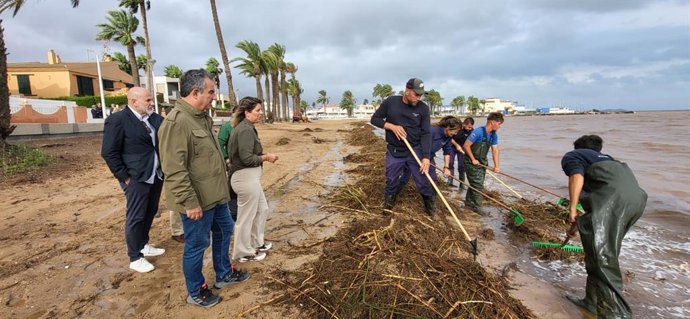 El consejero de Medio Ambiente, Universidades, Investigación y Mar Menor, Juan María Vázquez, visitó esta mañana junto con la alcaldesa de Cartagena, a los operarios que retiraban cañas y otros restos del Mar Menor a la altura de Islas Menores