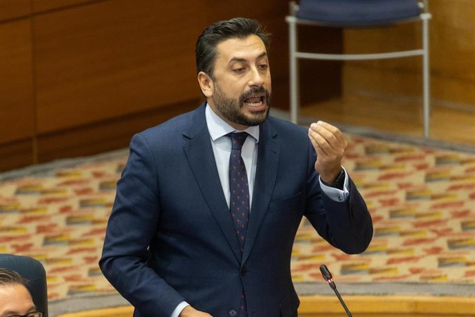 El portavoz del PP en la Asamblea, Carlos Díaz-Pache, interviene durante un pleno en la Asamblea de Madrid.