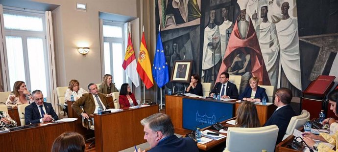 Pleno en el Diputación de Ciudad Real.