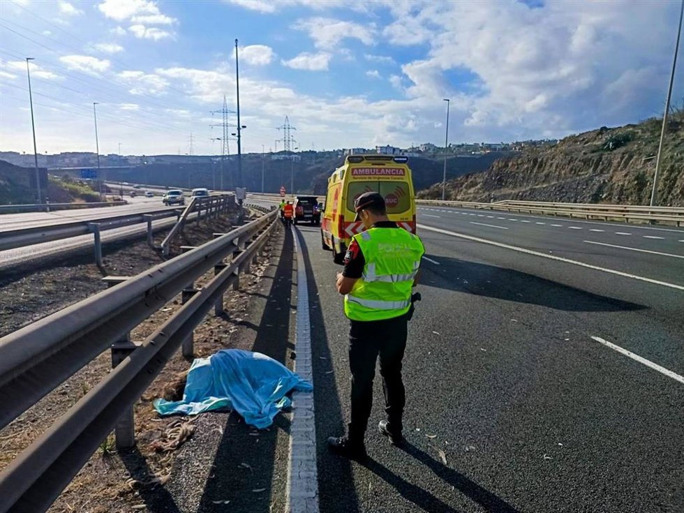 La Policía Canaria investiga el origen del atropello de un emú en Gran Canaria