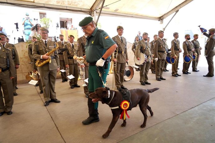 La labradora 'Tara' ha sido condecorada por haber ayudado a detectar más de 800 kilos de droga.