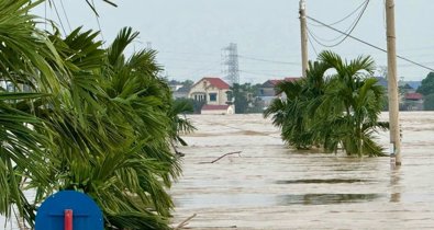 Cooperación y Desarrollo