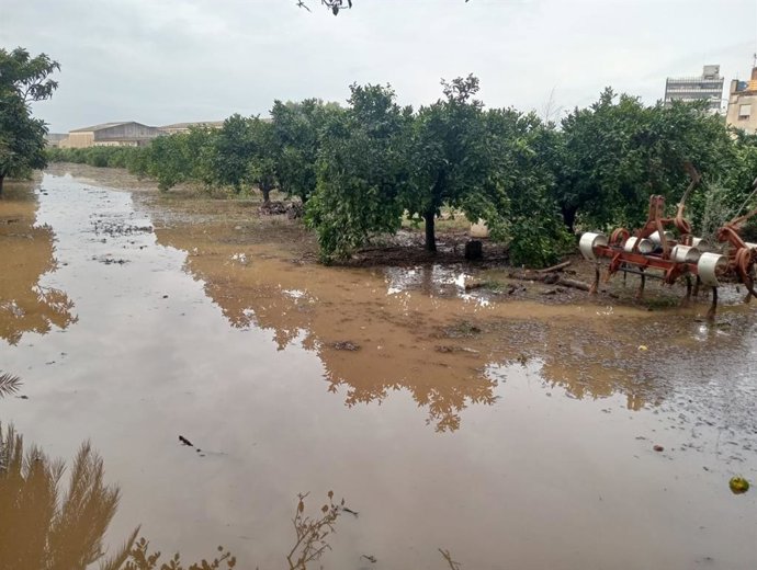 Estralls provocats pel temporal de diumenge a les Terres de l'Ebre