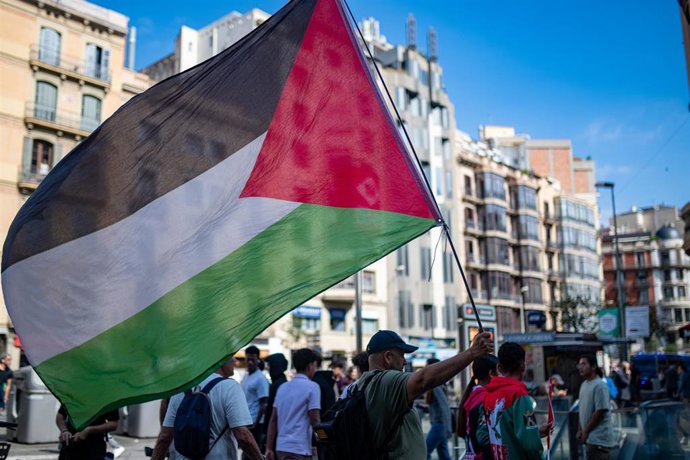 Una persona con la bandera palestina