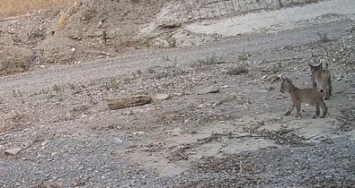 Es  Andalucía - Almería