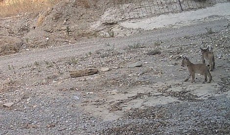 Es  Andalucía - Almería