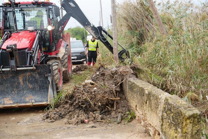 Una retroexcavadora trabaja en las tareas de desbroce de las acequias de Ibiza.