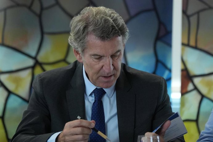 El presidente del Partido Popular, Alberto Núñez Feijóo