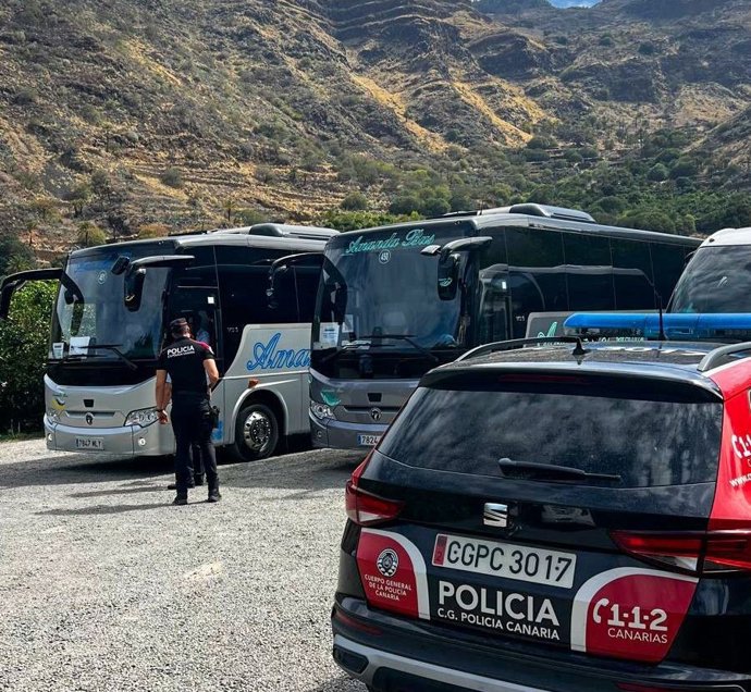 Agentes de la Policía Canaria en un control
