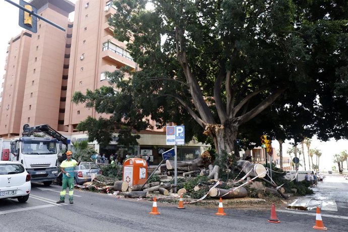 Archivo - Daños a causa de la DANA en Málaga.