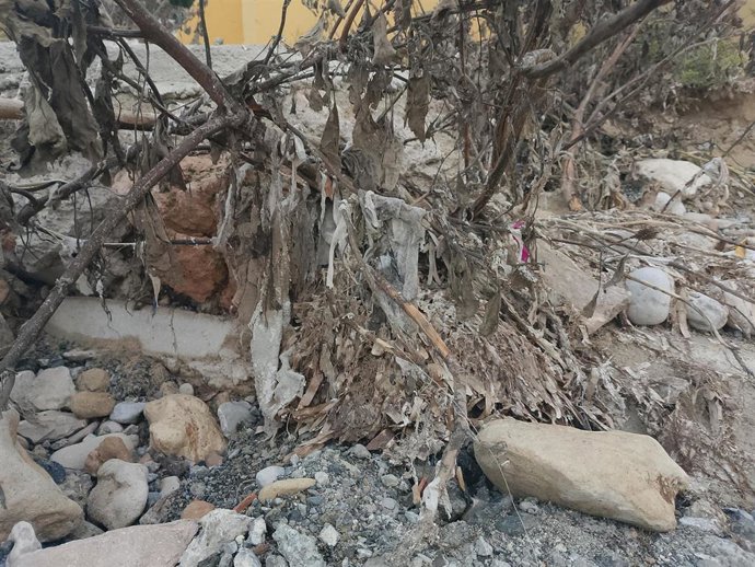 Archivo - Port des Torrent con restos de toallitas tras las intensas lluvias de Ibiza