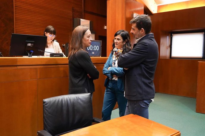 La consejera de Bienestar Social y Familia del Gobierno de Aragón, Carmen Susín, habla con el diputado de IU, Álvaro Sanz, y la parlamentaria de CHA Isabel Laobras antes de la reunión de la Comisión.