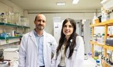 Foto: Describen una nueva estrategia que puede potenciar la regeneración y plasticidad de las neuronas