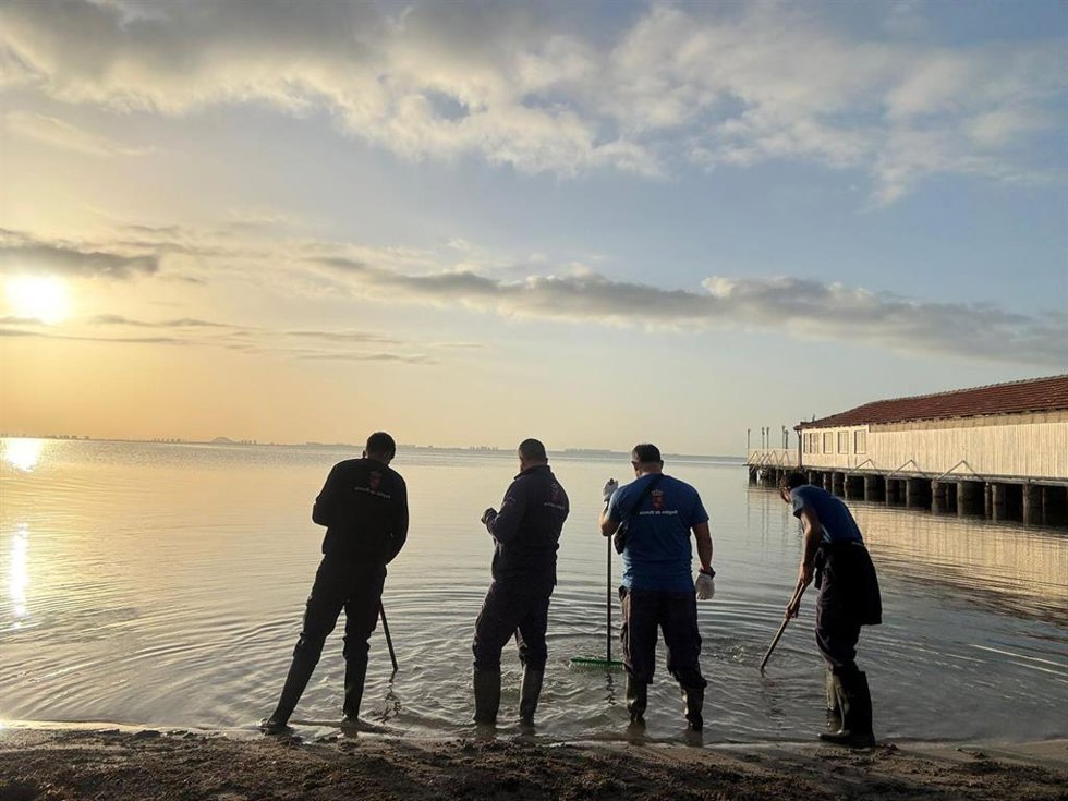 Los operarios retiran biomasa en la playa de Los Urrutias, en del Mar Menor, desde primera hora de la mañana