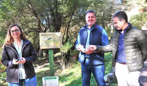 Es Andalucía - Granada