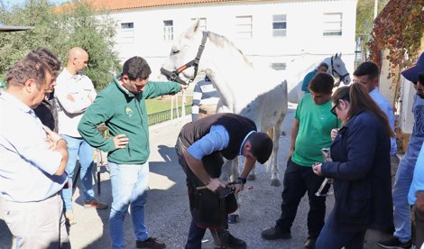 Es Andalucía - Cádiz