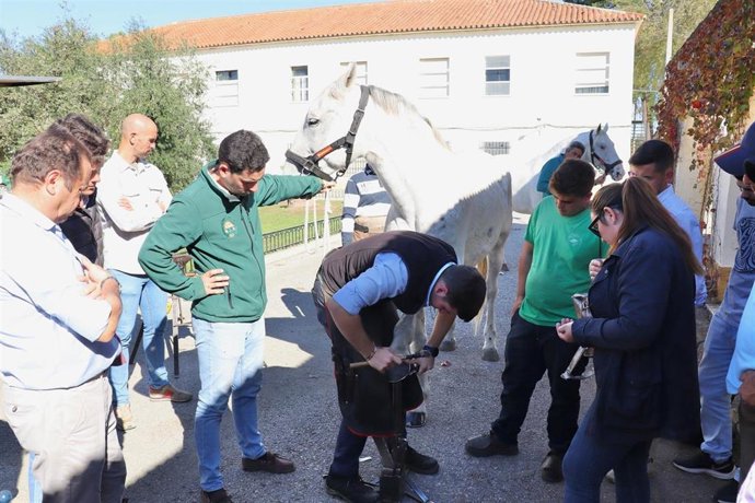 Alumnado del curso de podología equina y herraje durante una clase práctica en el Ifapa de Jerez de la Frontera (Cádiz)