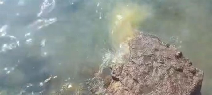 Vertidos en la Punta del Camello, en la playa de El Reducto de Arrecife (Lanzarote)