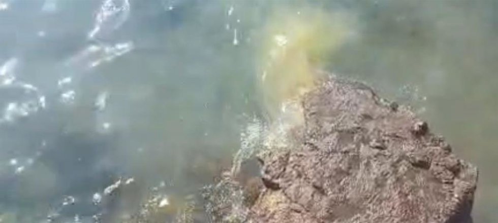 Vertidos en la Punta del Camello, en la playa de El Reducto de Arrecife (Lanzarote)
