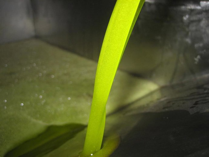 Archivo - Aceite de oliva en almazara