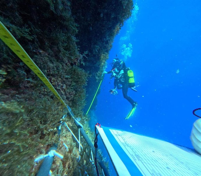Toma de datos y muestras mediante buceo científico en las áreas exploradas
