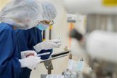 Foto: El empleo en el sector farmacéutico crece un 4% en el primer semestre y roza los 113.000 trabajadores, según un informe