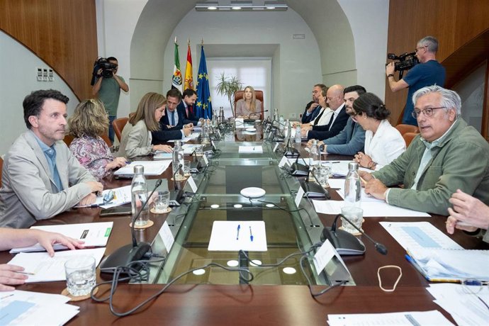 Reunión del Consejo de Capitalidad de Mérida