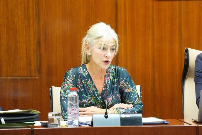 La consejera de Cultura, Patricia del Pozo, en la comisión parlamentaria del 14 de octubre de 2025.