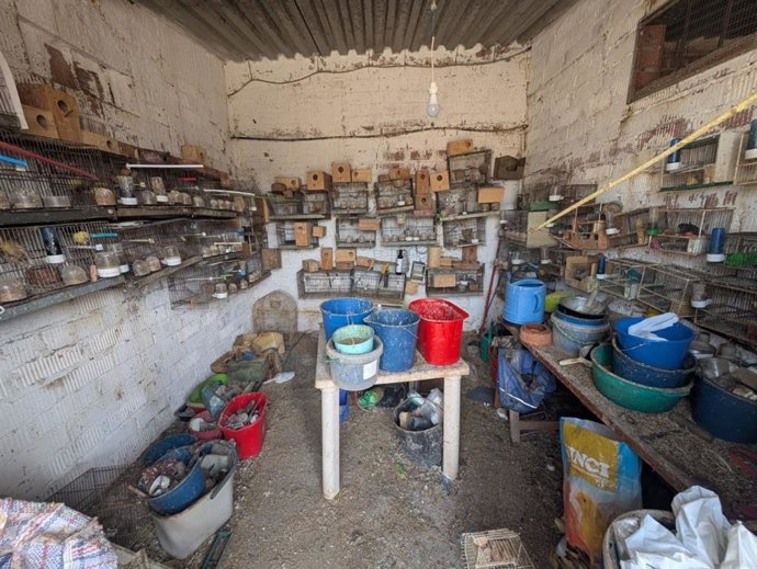 Gàbies d'ocells en mal estat