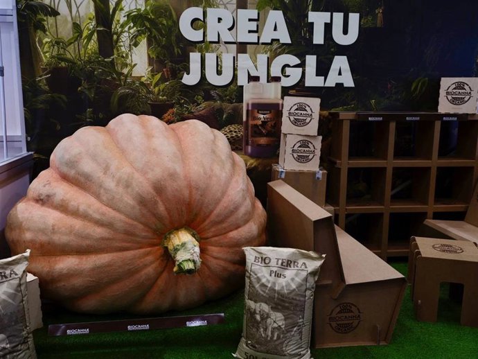 Una calabaza gigante en Iberflora 2025