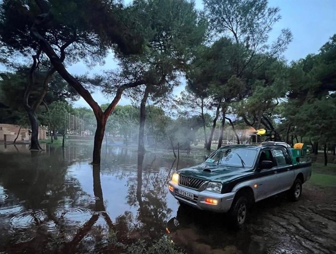 Fumigación contra los mosquitos en el Parque del Pinar