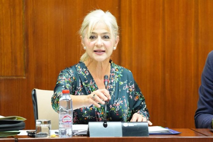 La consejera de Cultura, Patricia del Pozo, en la comisión parlamentaria del 15 de octubre de 2025.