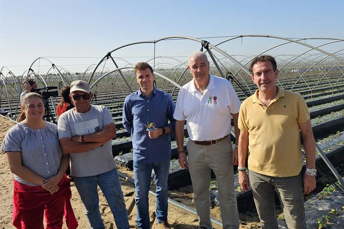 Visita de miembros de UPA Andalucía a la platación de frutos rojos en Huelva.