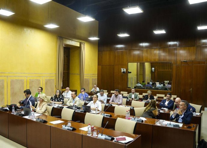 Diputados en la comisión de Cultura y Deporte del Parlamento andaluz.