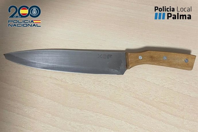 Cuchillo supuestamente empleado por el detenido por intentar matar a su expareja.
