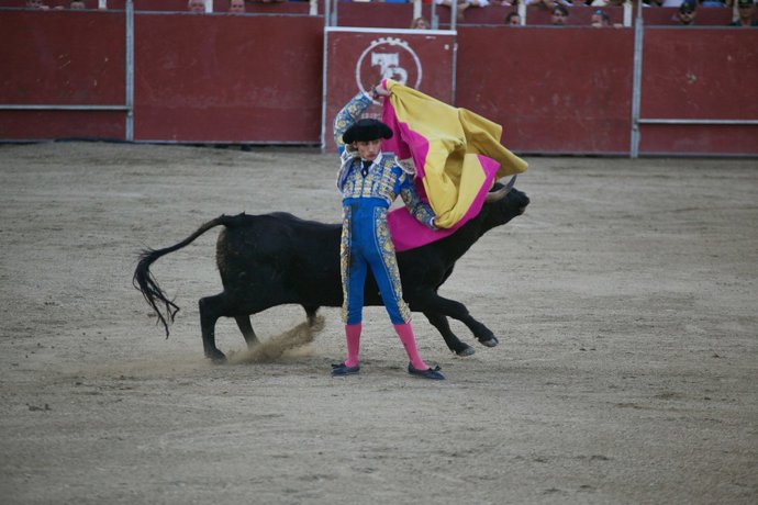 Archivo - [Mass Mail] Pinto Apuesta Por La Tauromaquia Con Un Festival Taurino Durante Las Fiestas Patronales