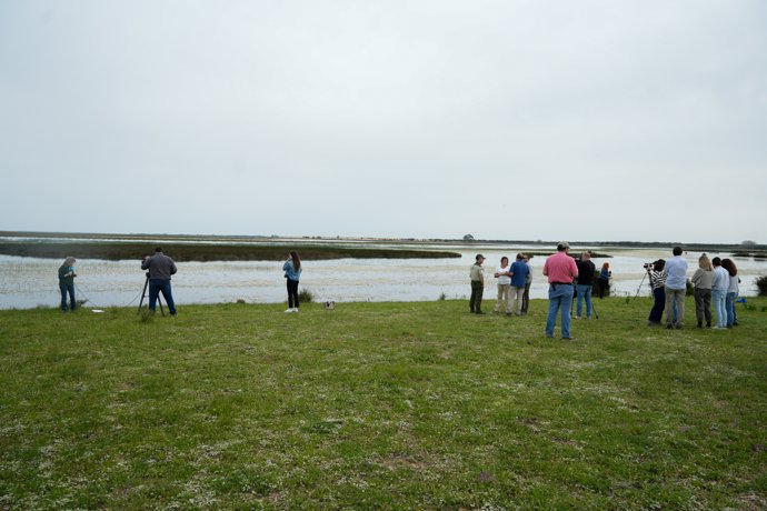 La consejera de Sostenibilidad y Medio Ambiente de la Junta de Andalucía, Catalina García durante la visita al Parque Nacional de Doñana. A 9 de abril de 2025 en Almonte, Huelva (Andalucía, España).