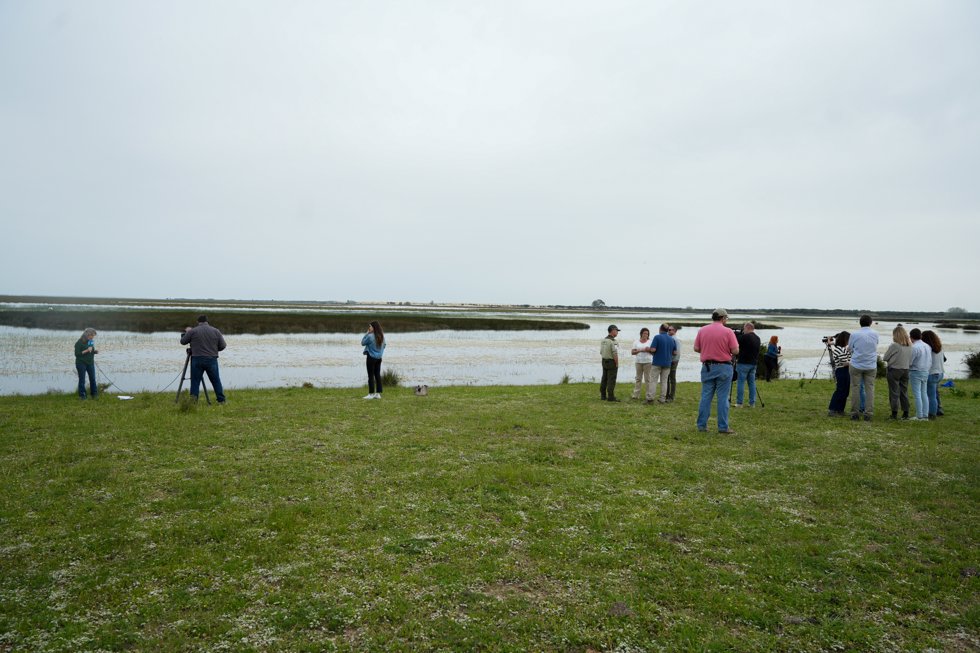 La consejera de Sostenibilidad y Medio Ambiente de la Junta de Andalucía, Catalina García durante la visita al Parque Nacional de Doñana. A 9 de abril de 2025 en Almonte, Huelva (Andalucía, España).