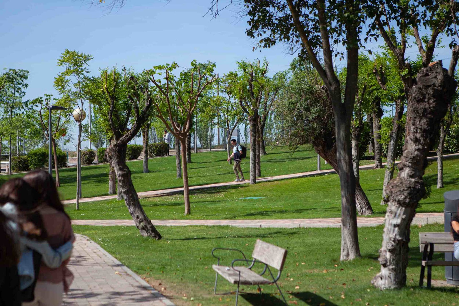 Universidad Pontificia Comillas