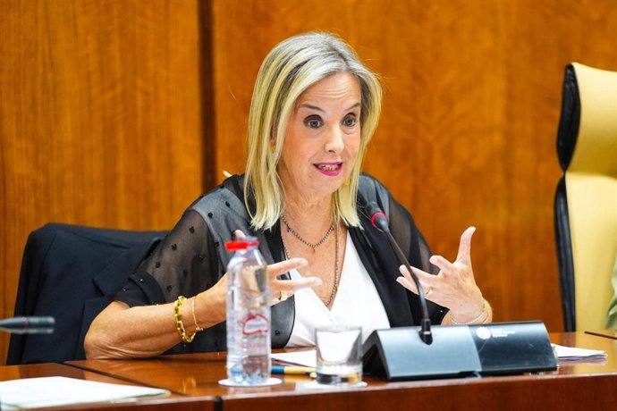 La fiscal Superior de Andalucía, Ceuta y Melilla, Ana Tárrago, en comisión parlamentaria. A fecha de 15 de octubre de 2025.